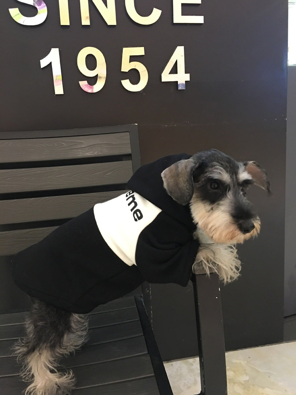 Manteau chaud pour chien – Vêtement automne & hiver