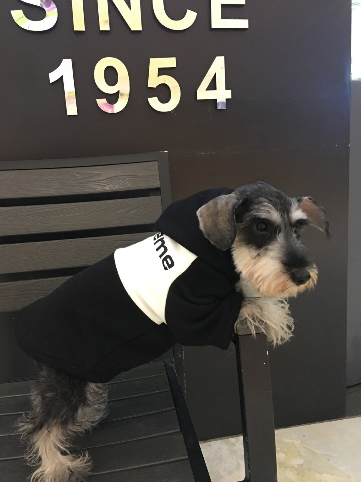 Manteau chaud pour chien – Vêtement automne & hiver