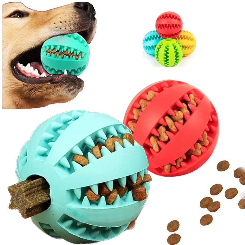 Balle à mâcher pour chien – Nettoyage des dents