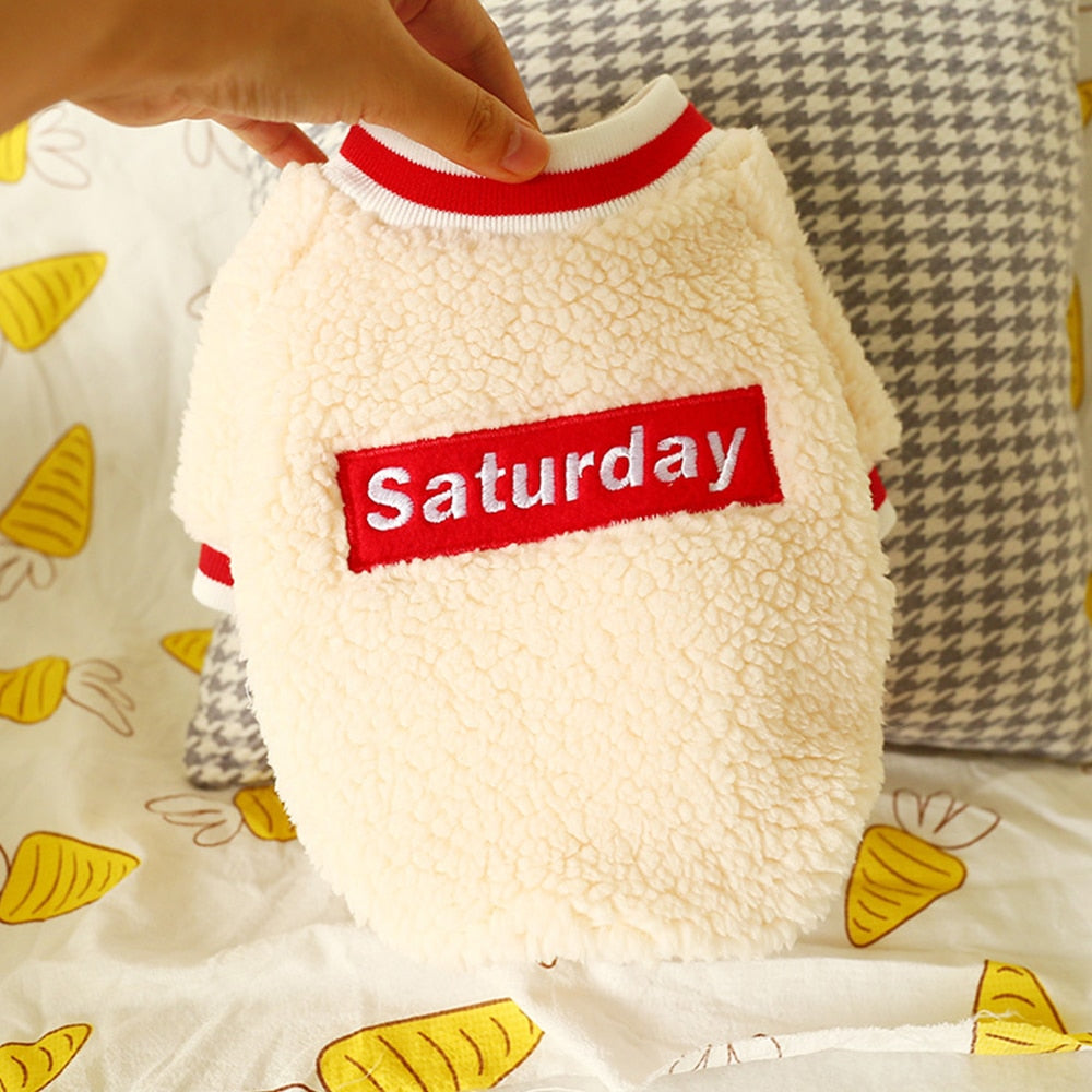 Pull en coton pour petit & moyen chien