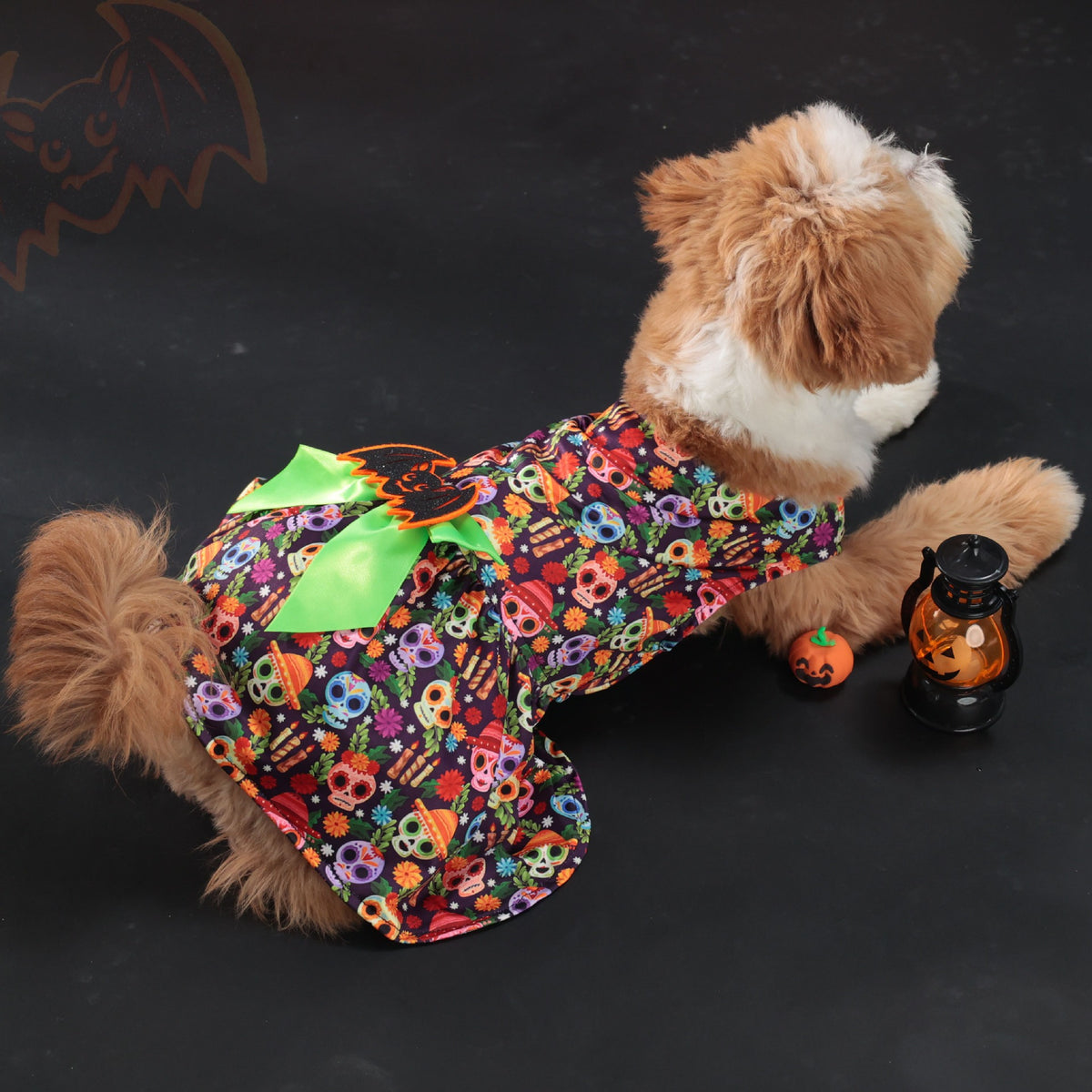 Robe Halloween pour chien – Chauve-souris & gouttes de sang