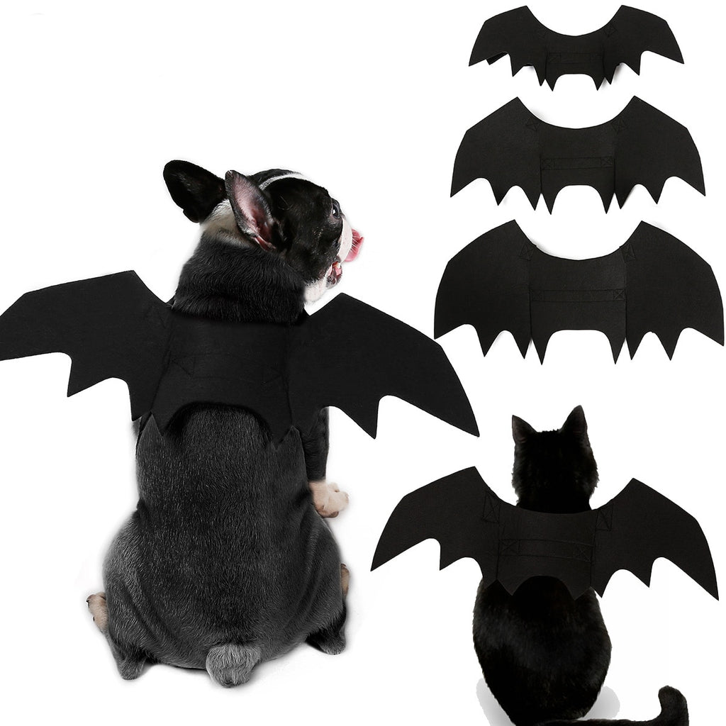 Ailes de chauve-souris Halloween pour chien – Déguisement
