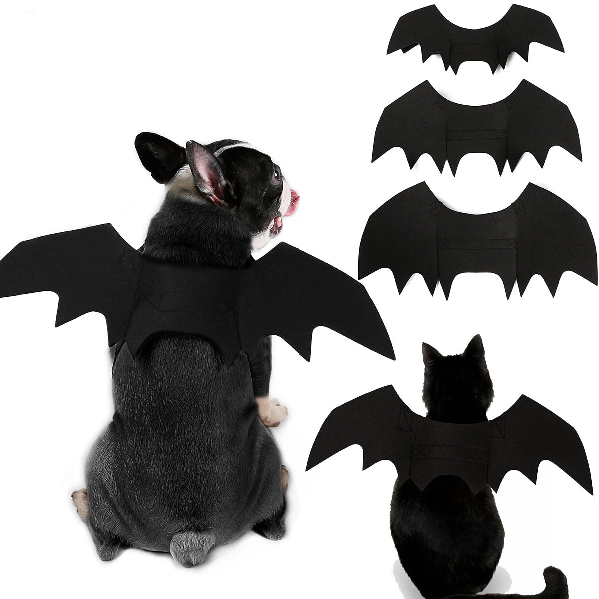 Ailes de chauve-souris Halloween pour chien – Déguisement
