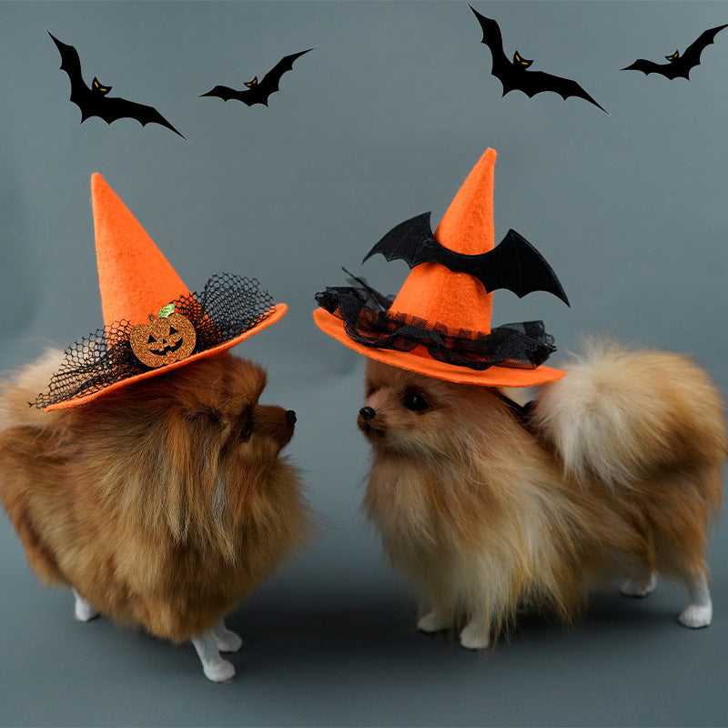 Chapeau Halloween pour chien & chat – Citrouille & araignée