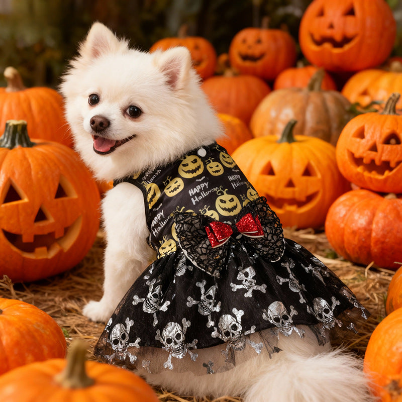 Robe Halloween pour chien – Citrouille & tête de mort
