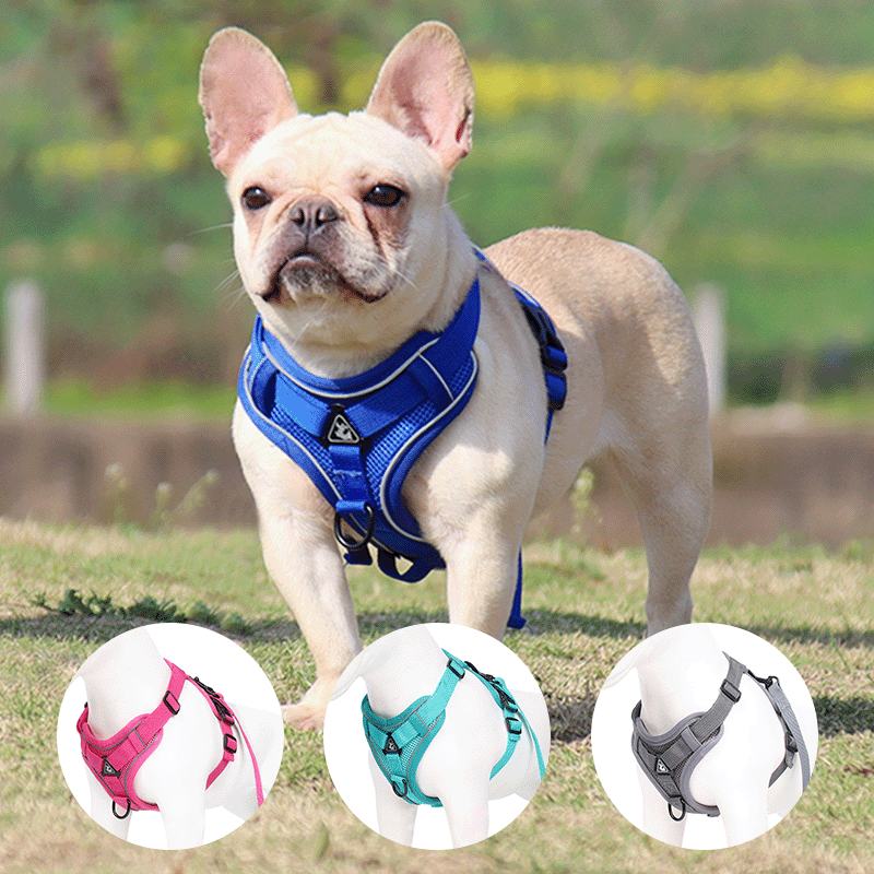 Harnais gilet réfléchissant pour chien – Avec laisse