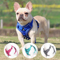Harnais gilet réfléchissant pour chien – Avec laisse