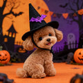 Chapeau d’Halloween pour chien – Citrouille & motifs fantaisie