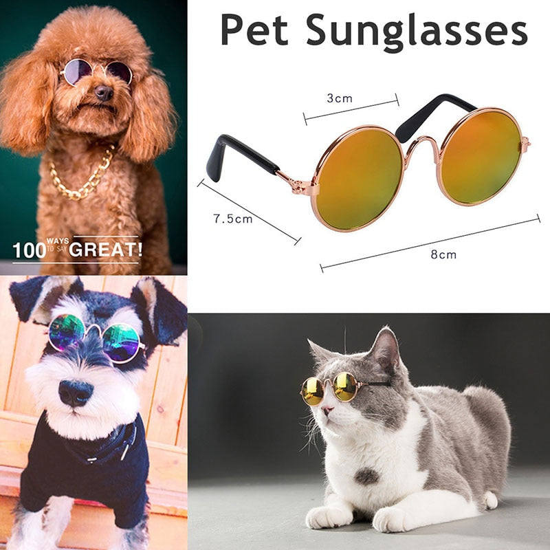 Lunettes fantaisie pour chat & petit chien