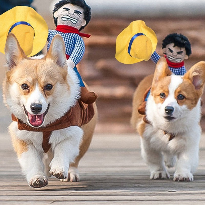 Déguisement Halloween pour chien & chat – Cow-boy