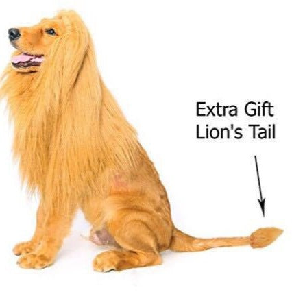 Déguisement lion pour chien – Bonnet à crinière