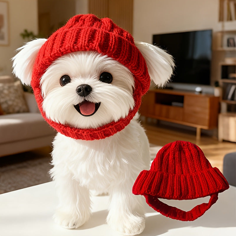 Bonnet tricoté Halloween pour chien – Chaud & coupe-vent