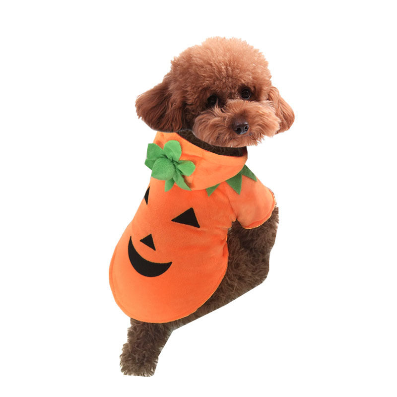 Costume Halloween pour chien & chat – Citrouille chaud