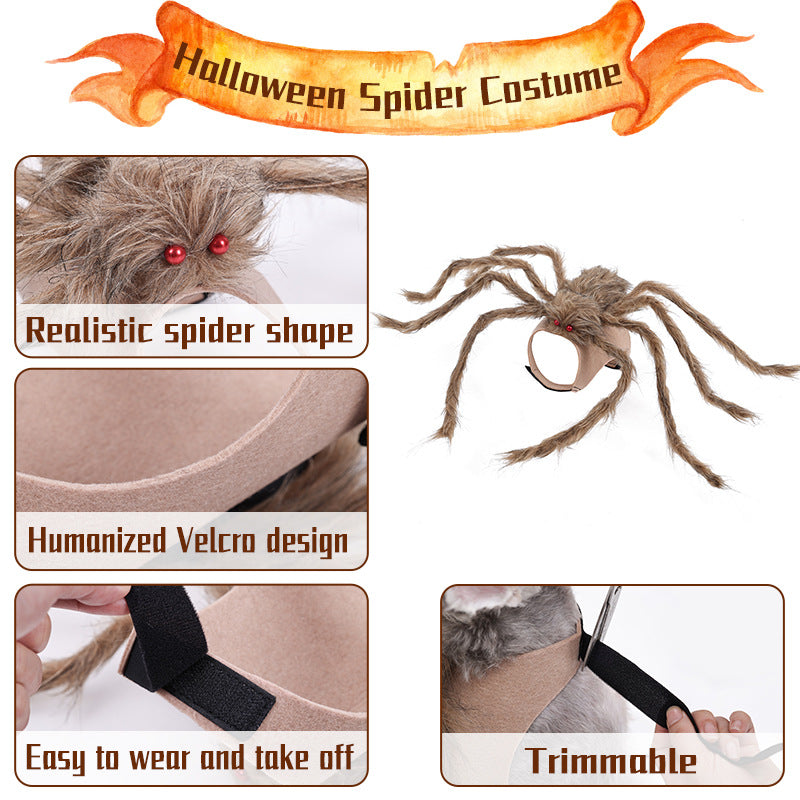 Déguisement Halloween pour chien – Araignée