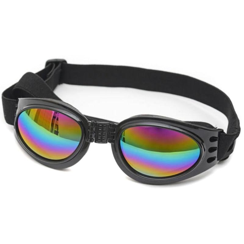 Lunettes de protection pour chien – Anti-pluie & UV