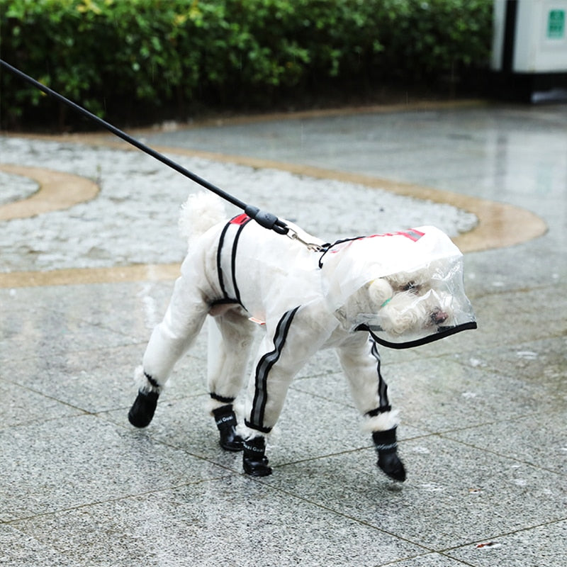 Imperméable transparent pour chien – Léger & coupe-vent