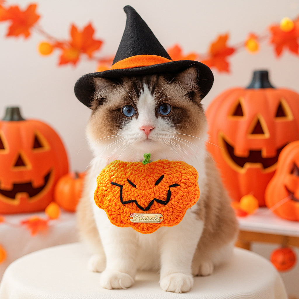 Bandana Halloween pour chien & chat – Citrouille & tête de mort