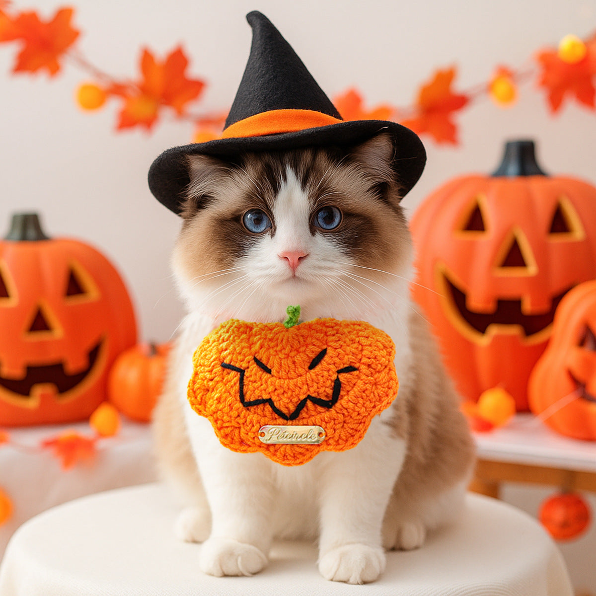 Bandana Halloween pour chien & chat – Citrouille & tête de mort