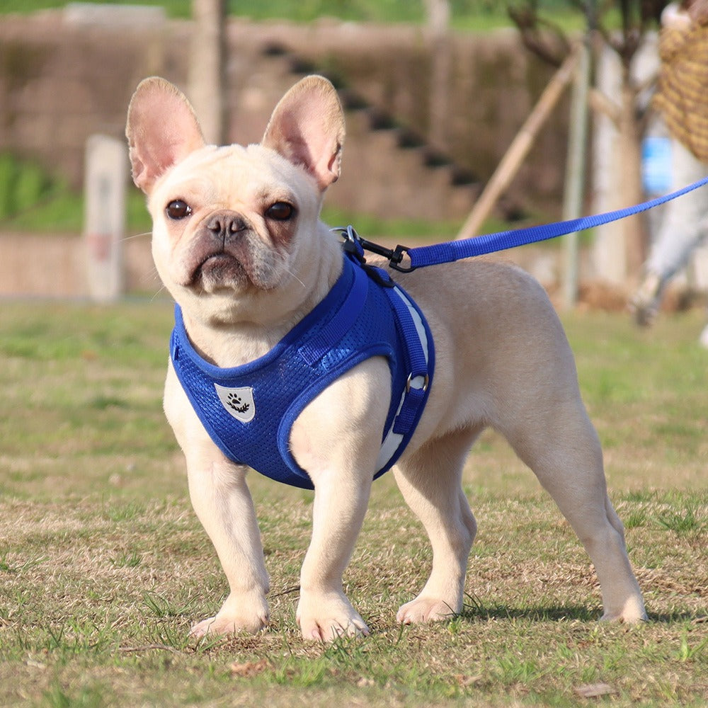 Harnais gilet réfléchissant pour chien – Respirant