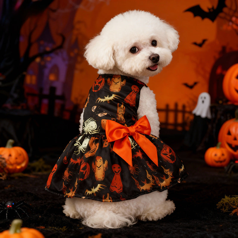 Robe Halloween pour chien – Citrouille & chauve-souris