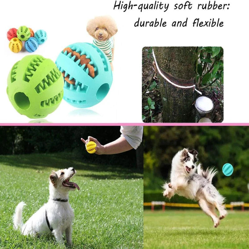 Balle à mâcher pour chien – Nettoyage des dents