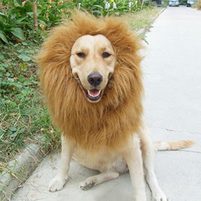 Déguisement lion pour chien – Bonnet à crinière