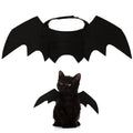 Ailes de chauve-souris Halloween pour chat