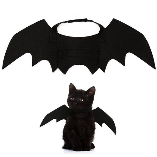 Ailes de chauve-souris Halloween pour chat