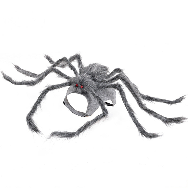 Déguisement Halloween pour chien – Araignée