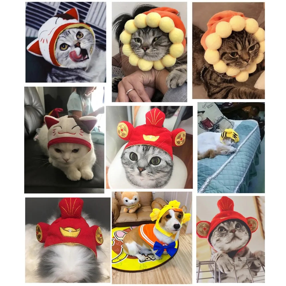 Chapeau festif en coton pour chien & chat