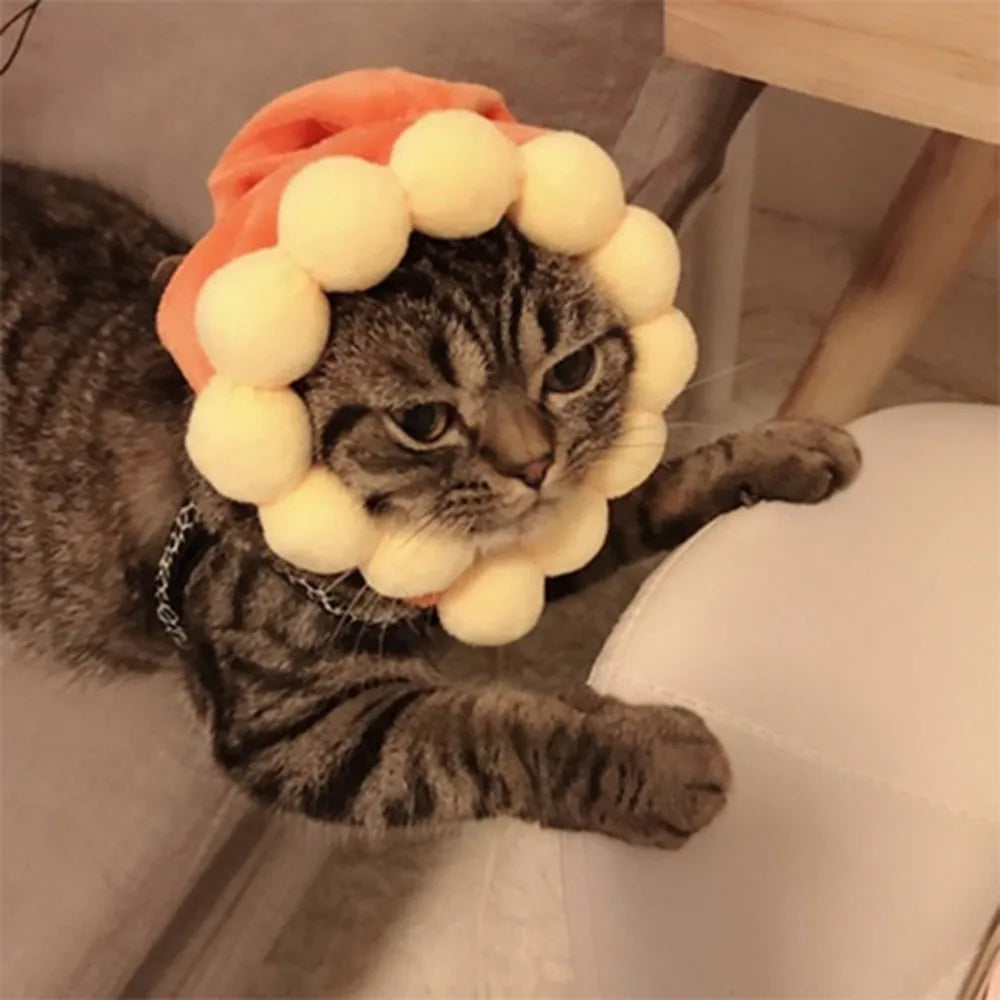 Chapeau festif en coton pour chien & chat