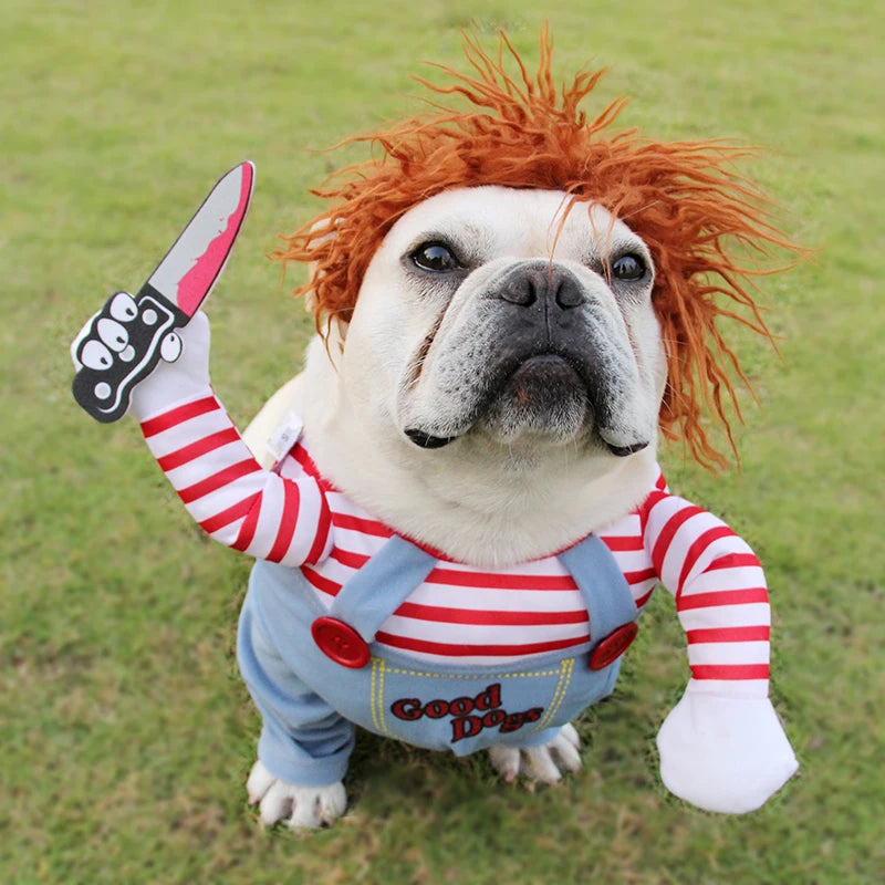 Déguisement Halloween pour chien – Costume humoristique