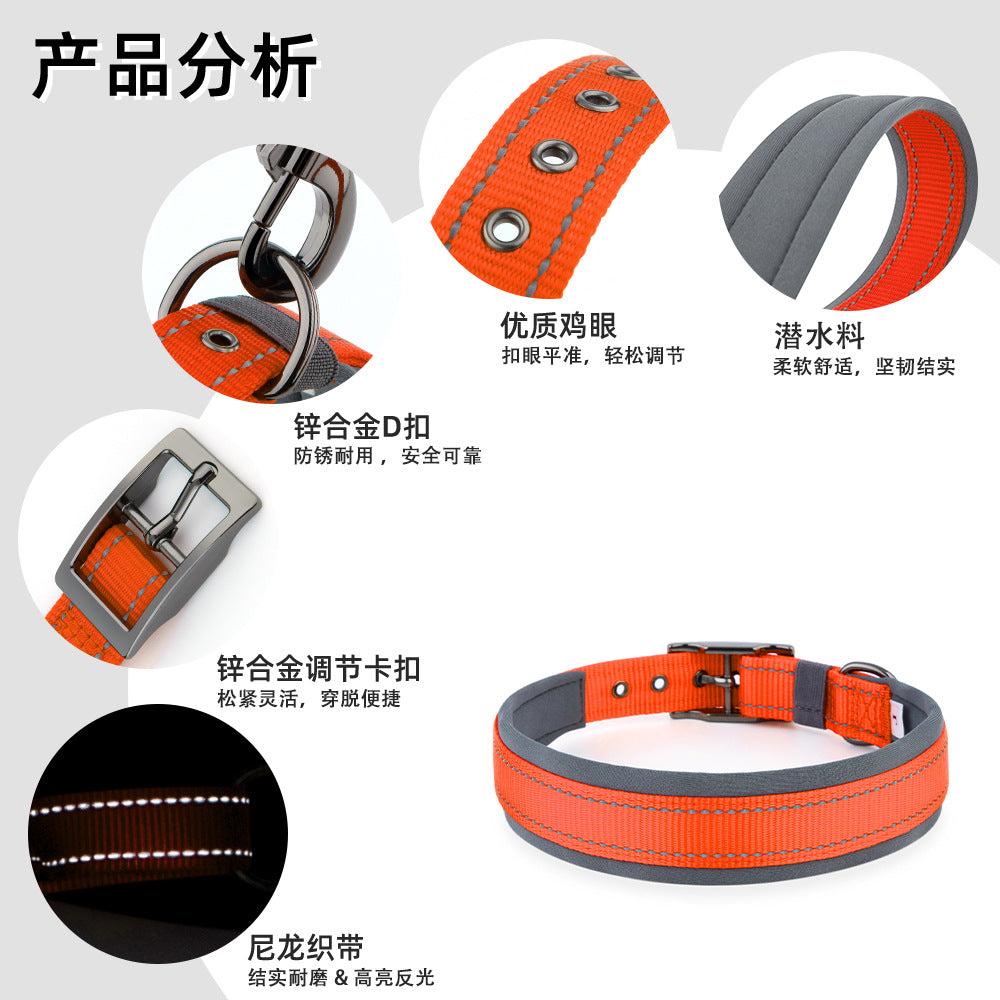 Collier réfléchissant pour chien – Promenade & visibilité