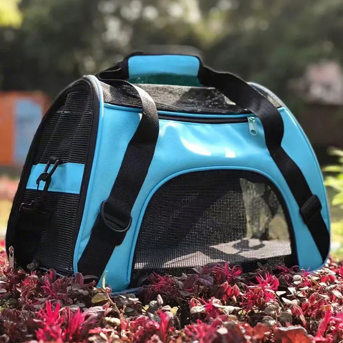 Sac à dos de transport pour chat & chien – Grande capacité