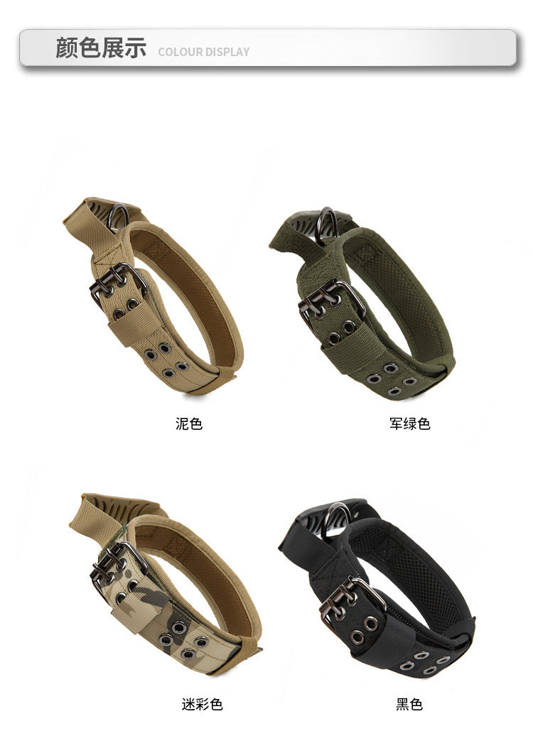 Collier en nylon résistant pour chien – Promenade & éducation
