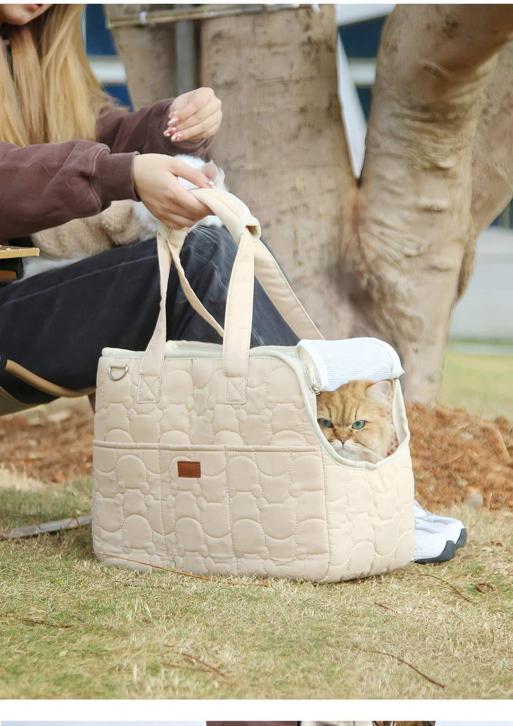Sac à dos pour chat & petit chien – Doublé chaud avec accessoires