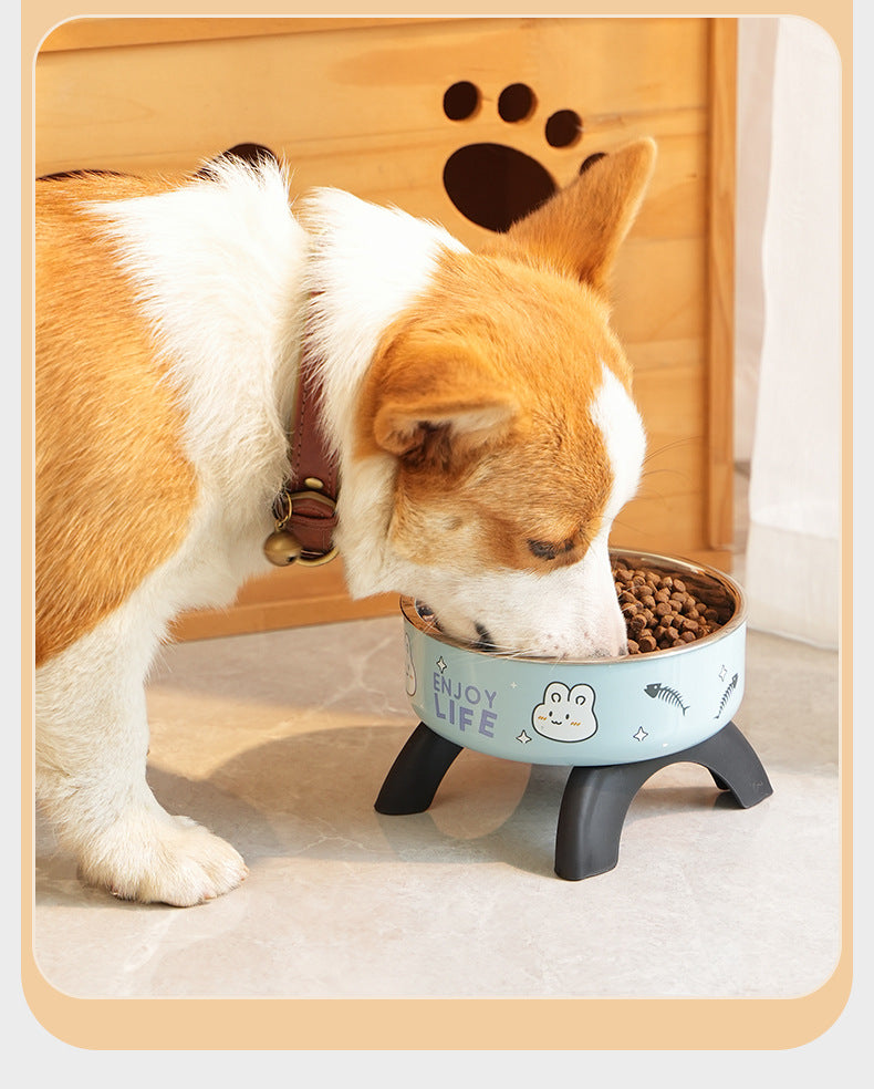Gamelle surélevée pour chat & chien – Acier inoxydable