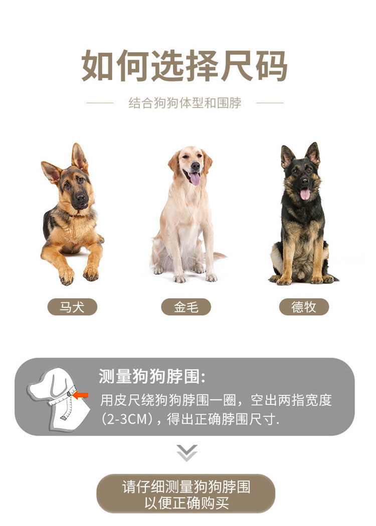 Collier en nylon résistant pour chien – Promenade & éducation