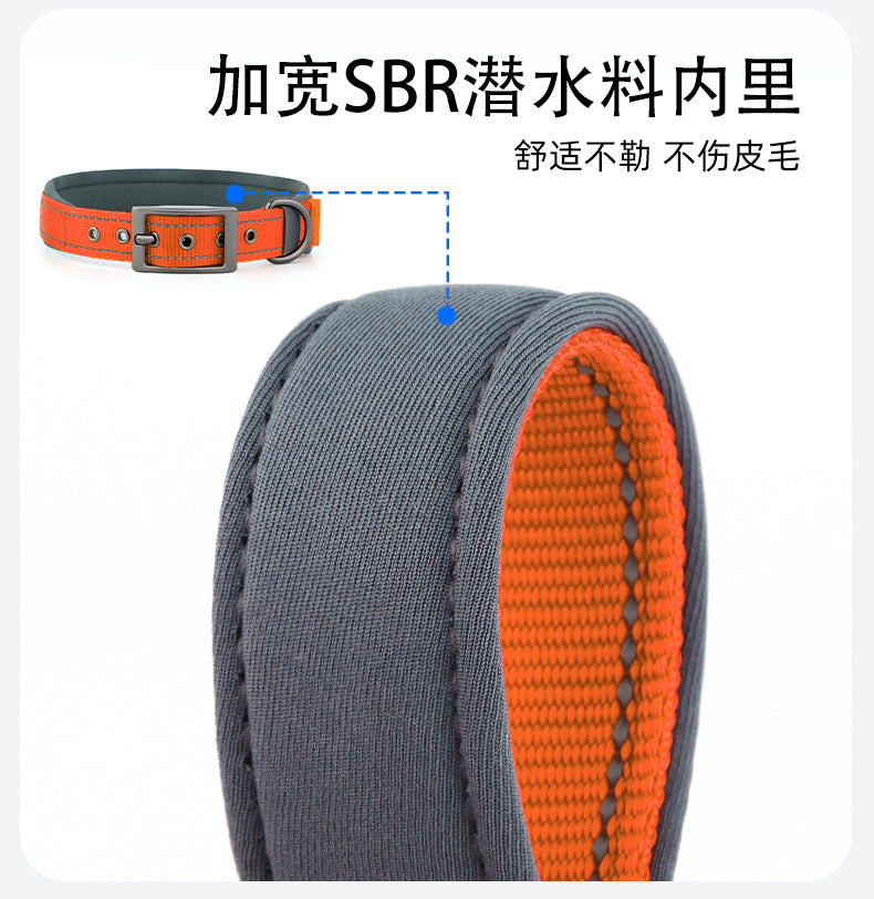 Collier réfléchissant pour chien – Promenade & visibilité