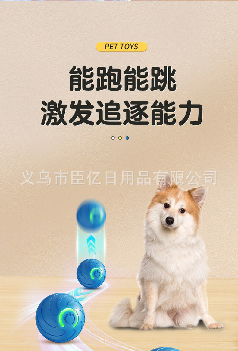 Balle interactive pour chat & chien – Jouet d’occupation