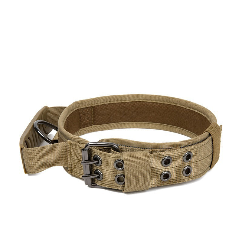 Collier en nylon résistant pour chien – Promenade & éducation