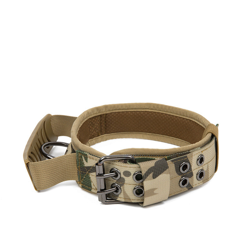 Collier en nylon résistant pour chien – Promenade & éducation