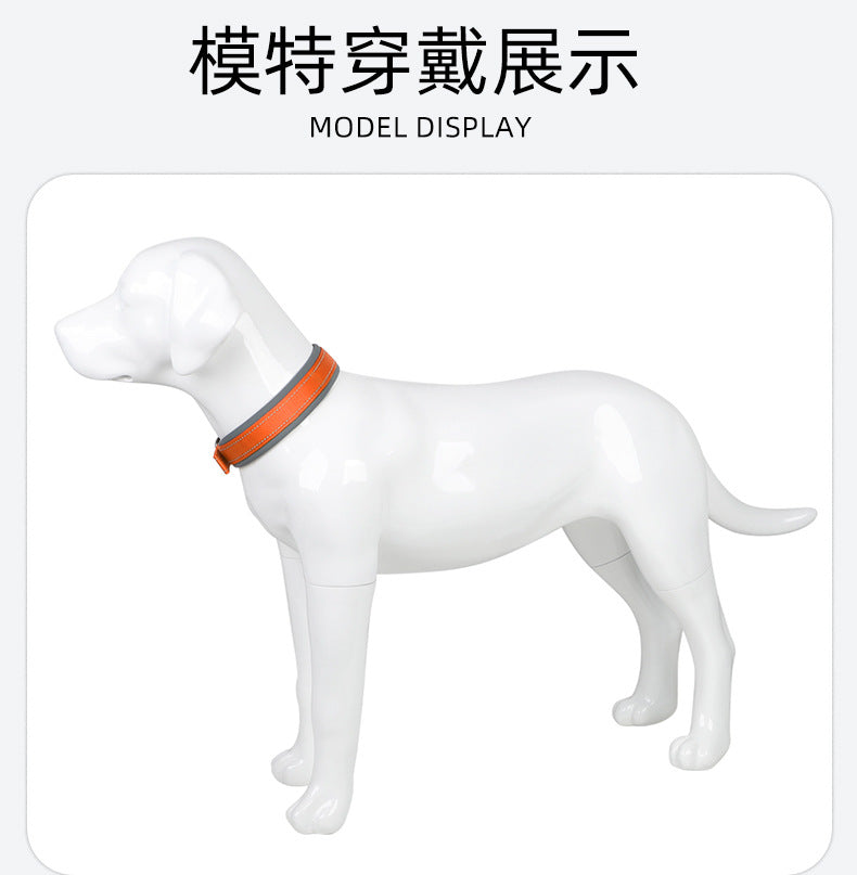Collier réfléchissant pour chien – Promenade & visibilité