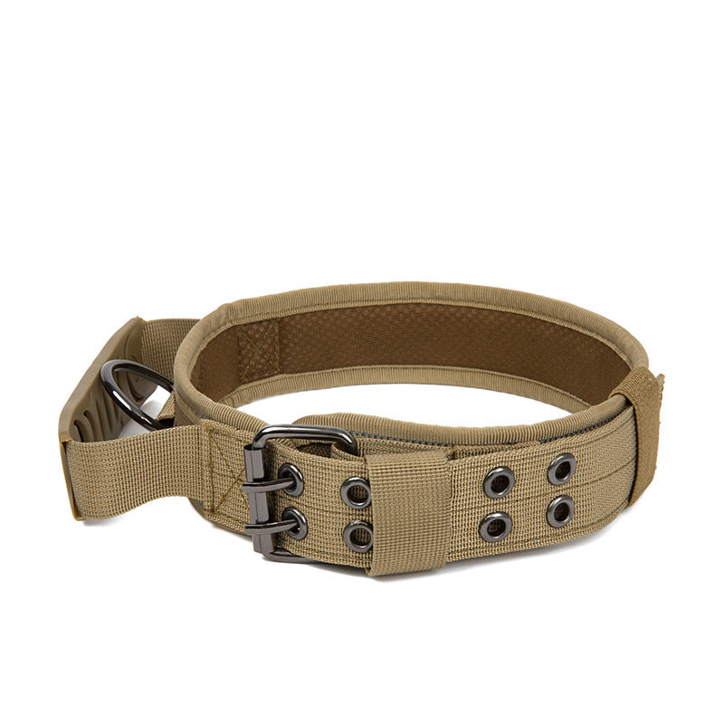 Collier en nylon résistant pour chien – Promenade & éducation