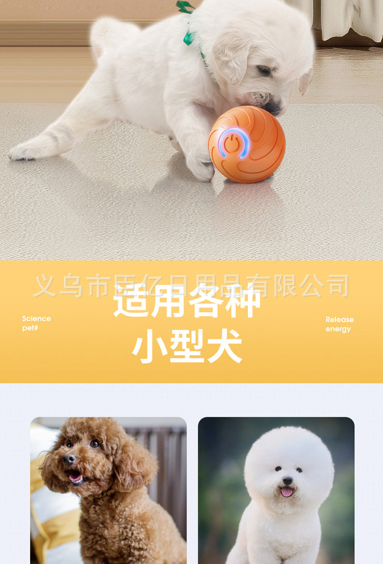 Balle interactive pour chat & chien – Jouet d’occupation