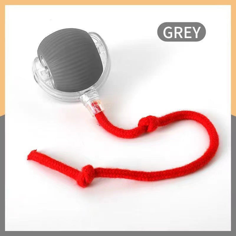 Balle interactive pour chat & chien – Jouet d’occupation