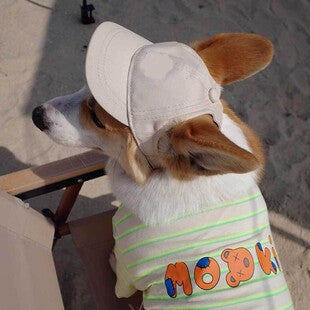 Sac bandoulière pour chien & chat – Poche téléphone