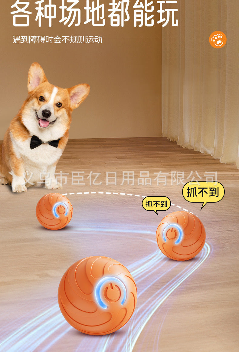 Balle interactive pour chat & chien – Jouet d’occupation