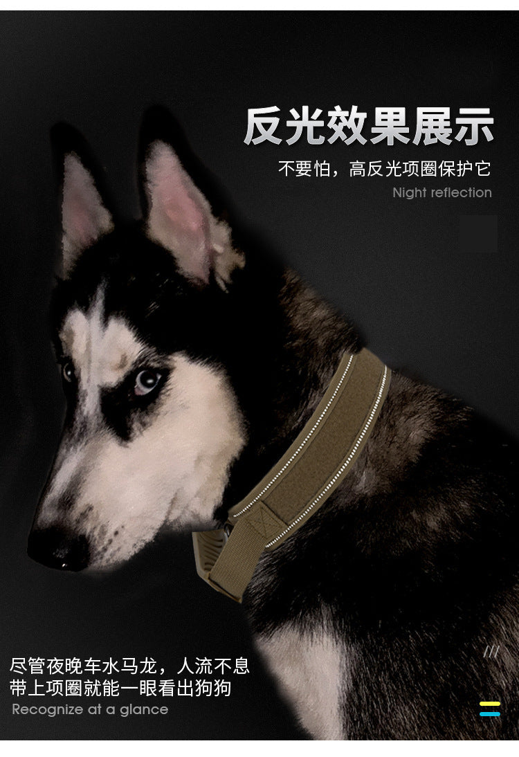 Collier en nylon résistant pour chien – Promenade & éducation