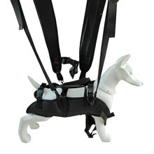 Cache-oreilles pour chien – Doux & confortables